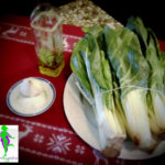 I Giri sono una verdura molto apprezzata per le sue vitamine, fibre, sali minerali e acido folico, indispensabili per il nostro organismo. Utilizzata per preparare minestre o contorni.